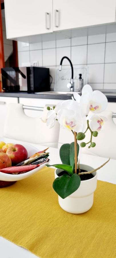 Apartments Severina โรวีน ภายนอก รูปภาพ